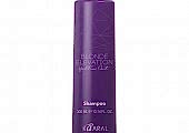 Шампунь антижелтый Blonde Elevation Yellow Out Shampoo 300 мл - site41.local - Алматы