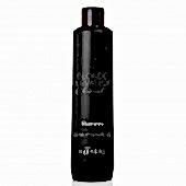 Черный угольный тонирующий шампунь для волос Kaaral Blonde Elevation Charcoal Shampoo 300 мл - site41.local - Алматы