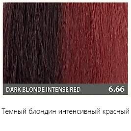 Kaaral Baco Color Glaze Кондиционирующий оттеночный колор-гель, 6/66 темный блондин интенсивный красный, 60 мл - site41.local - Алматы